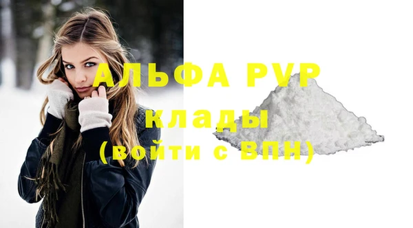 крисы Абаза