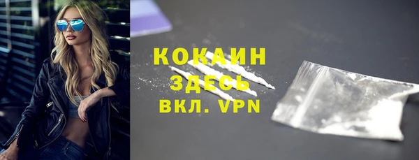 крисы Абаза