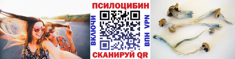 Галлюциногенные грибы мицелий  цена наркотик  МЕГА рабочий сайт  Электроугли 